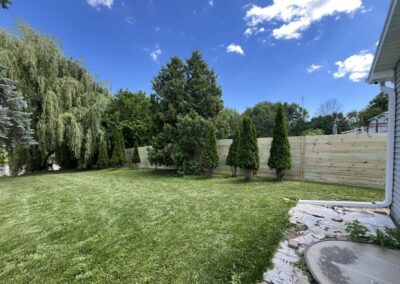 Grand Chute WI: Treated wood privacy fence behind a row of arborvitae